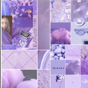 Meet your Posher, Karina